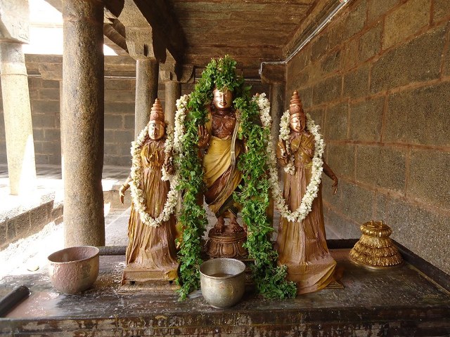 Swami Ramanuja Jayanthi at Thiruvahindrapuram Devanatha Perumal Temple 2014 -02