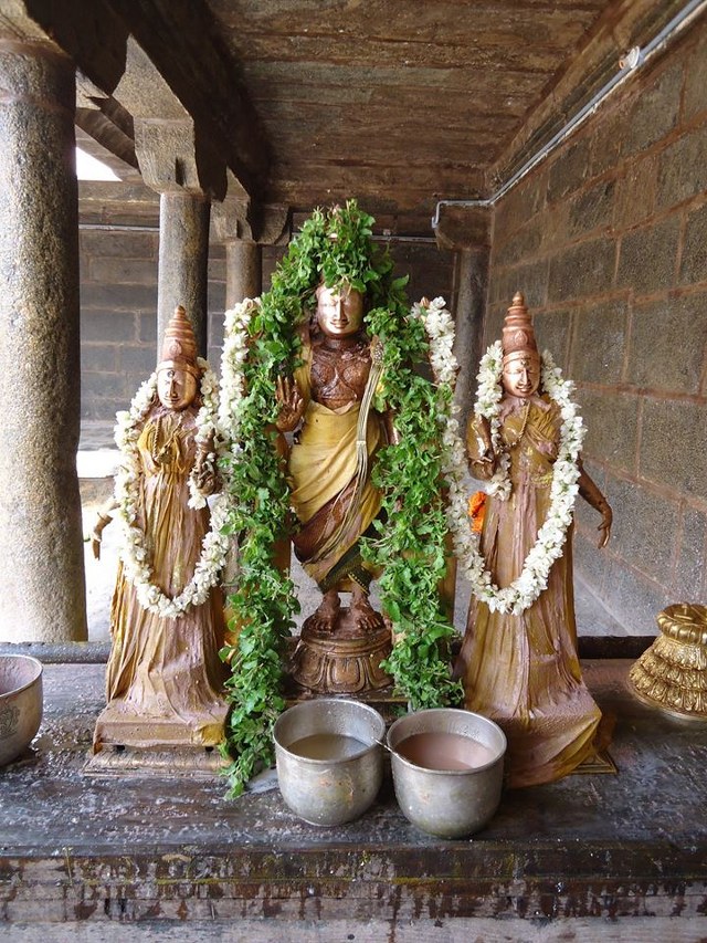 Swami Ramanuja Jayanthi at Thiruvahindrapuram Devanatha Perumal Temple 2014 -05