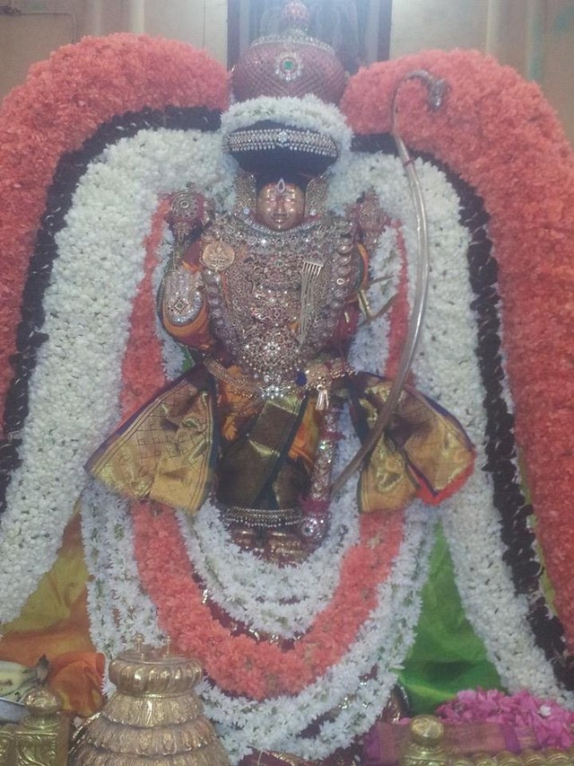 Swami Ramanuja Jayanthi at Thiruvahindrapuram Devanatha Perumal Temple 2014 -09