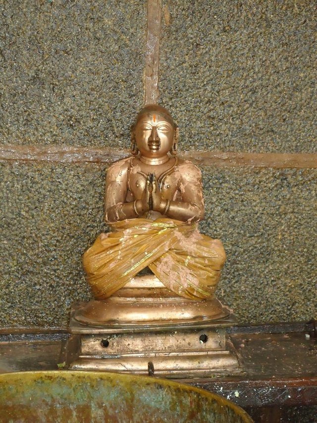 Swami Ramanuja Jayanthi at Thiruvahindrapuram Devanatha Perumal Temple 2014 -11