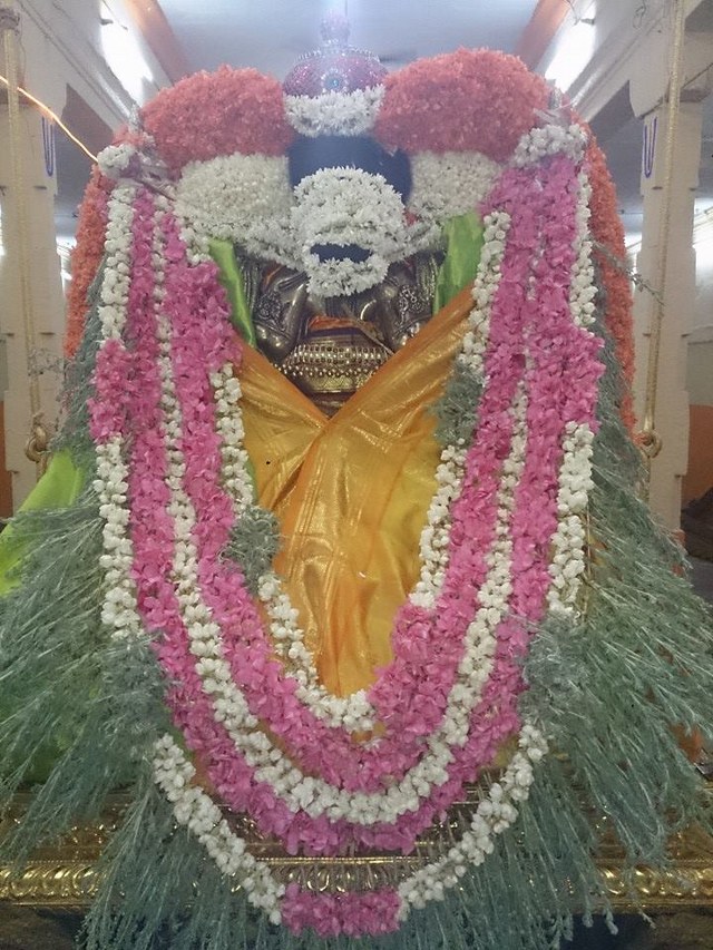 Swami Ramanuja Jayanthi at Thiruvahindrapuram Devanatha Perumal Temple 2014 -14
