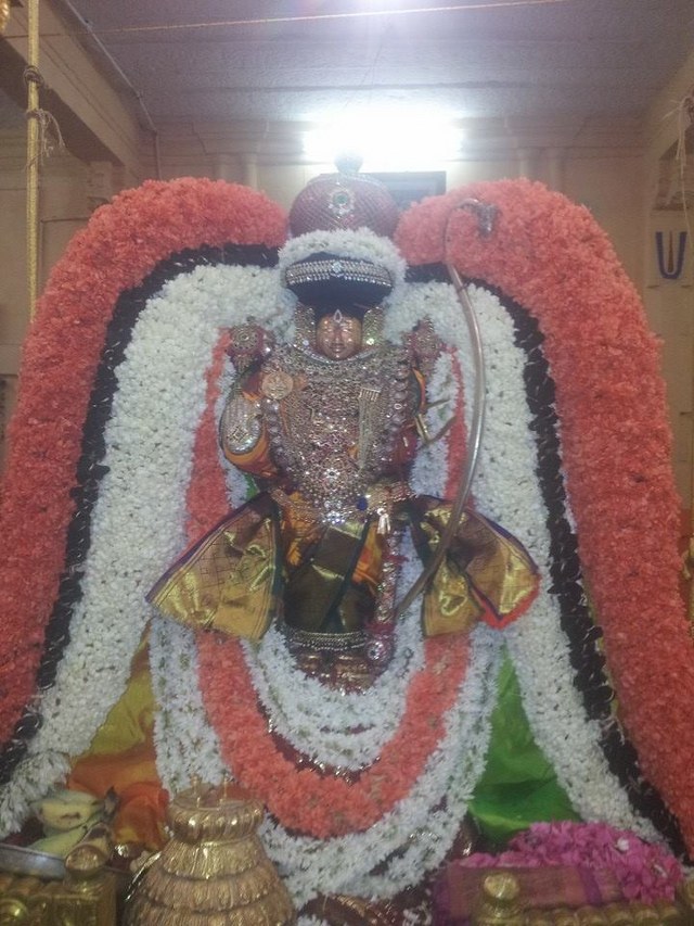 Swami Ramanuja Jayanthi at Thiruvahindrapuram Devanatha Perumal Temple 2014 -16