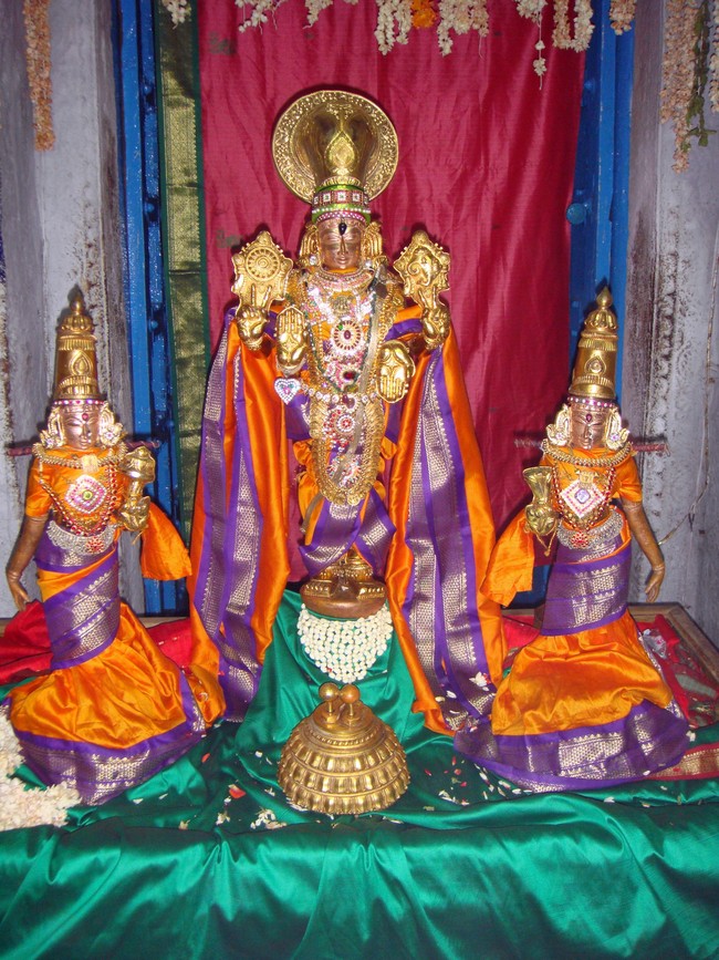 Swami Ramanuja Jayanthi at Thiruvelukkai   2014 -05