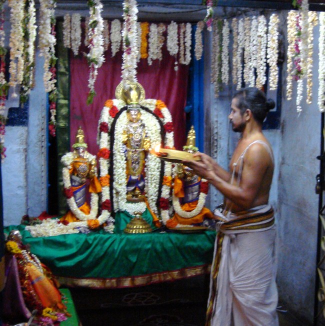 Swami Ramanuja Jayanthi at Thiruvelukkai   2014 -18