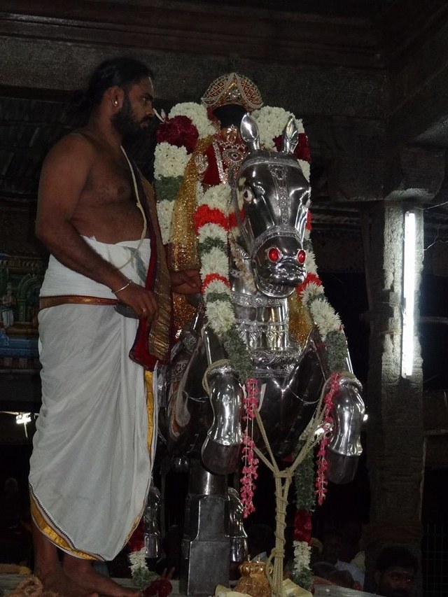 THiruvahindrapuram CHithirai brahmotsvam  day 8 Kudhirai vahanam  2014 -2