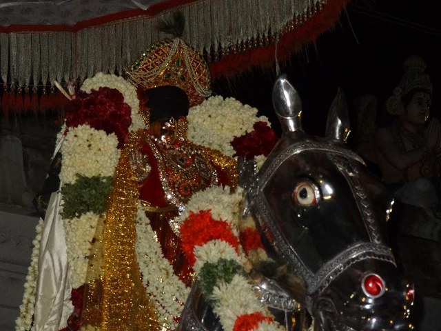 THiruvahindrapuram CHithirai brahmotsvam  day 8 Kudhirai vahanam  2014 -4