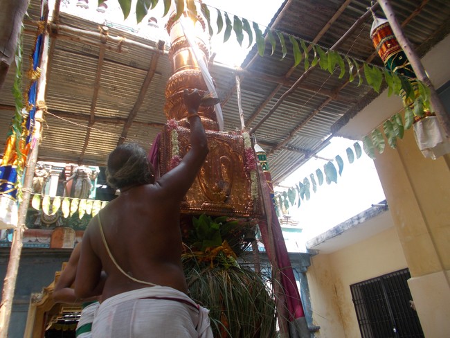 Therazhundur Amaruviappam Vaikasi Brahmotsavam Indra Vimanam  2014 -2