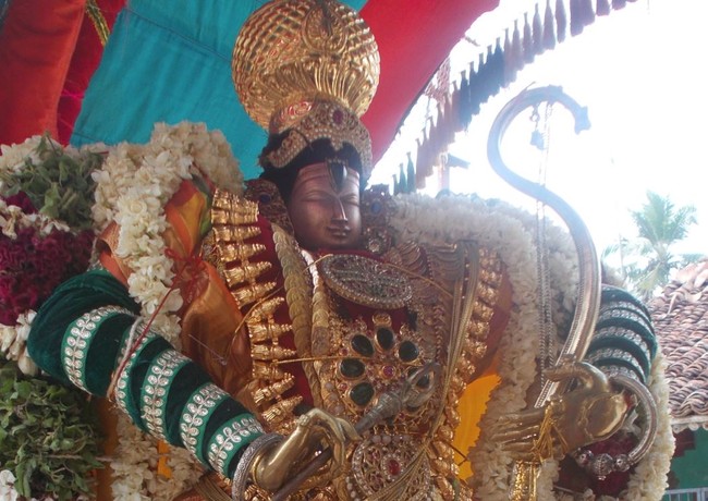 Therazhundur Amaruviappam Vaikasi Brahmotsavam Thaata Vadam day 3 2014 -1