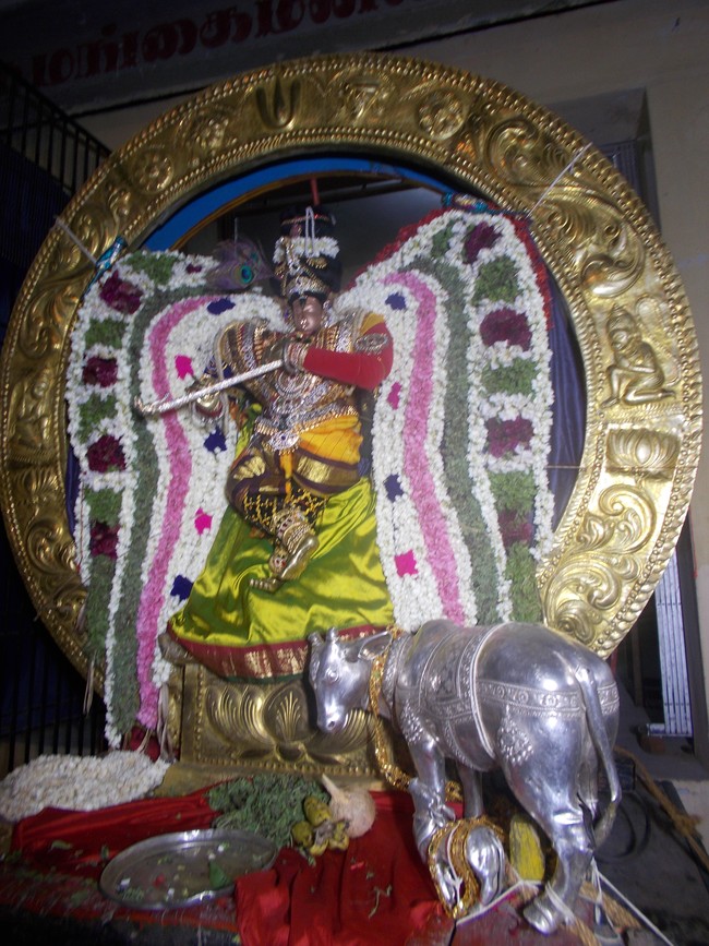 Therazhundur Amaruviappam Vaikasi BrahmotsavamSurya Prabhai 2014 -5