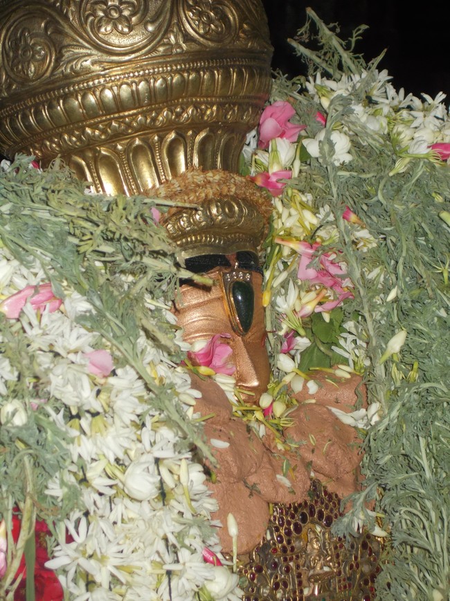 Therazhundur Amaruviyappan kovil Brahmotsvam sapthavaranam & pushpa yagam 2014 -08