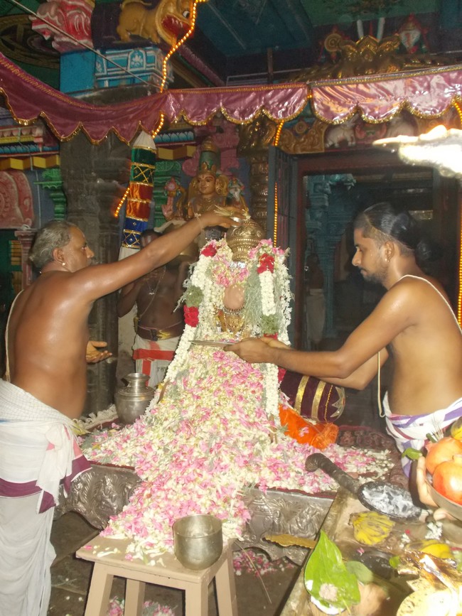 Therazhundur Amaruviyappan kovil Brahmotsvam sapthavaranam & pushpa yagam 2014 -10