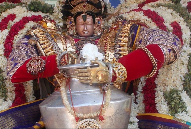 Therazhundur Vaikasi Brahmotsavam Vennai Thazhi Utsavam and Choornotsavam  2014 -04