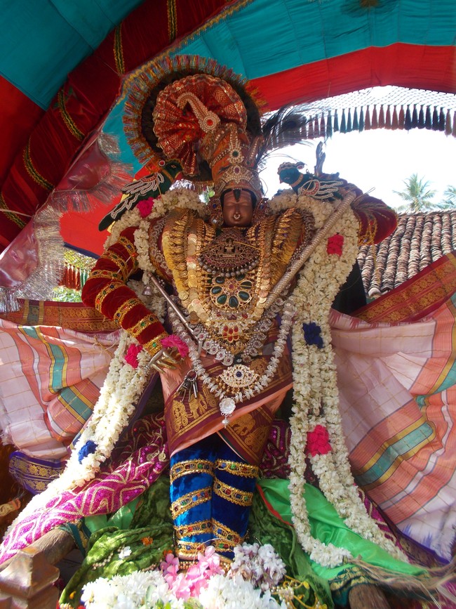 Therazhundur vaikasi Brahmotsavam Hanumantha vahanam  2014 -6