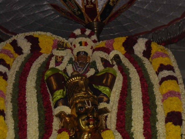 Thirukannamangai Akshaya Truthiyai Thanga Garuda sevai 2014--10
