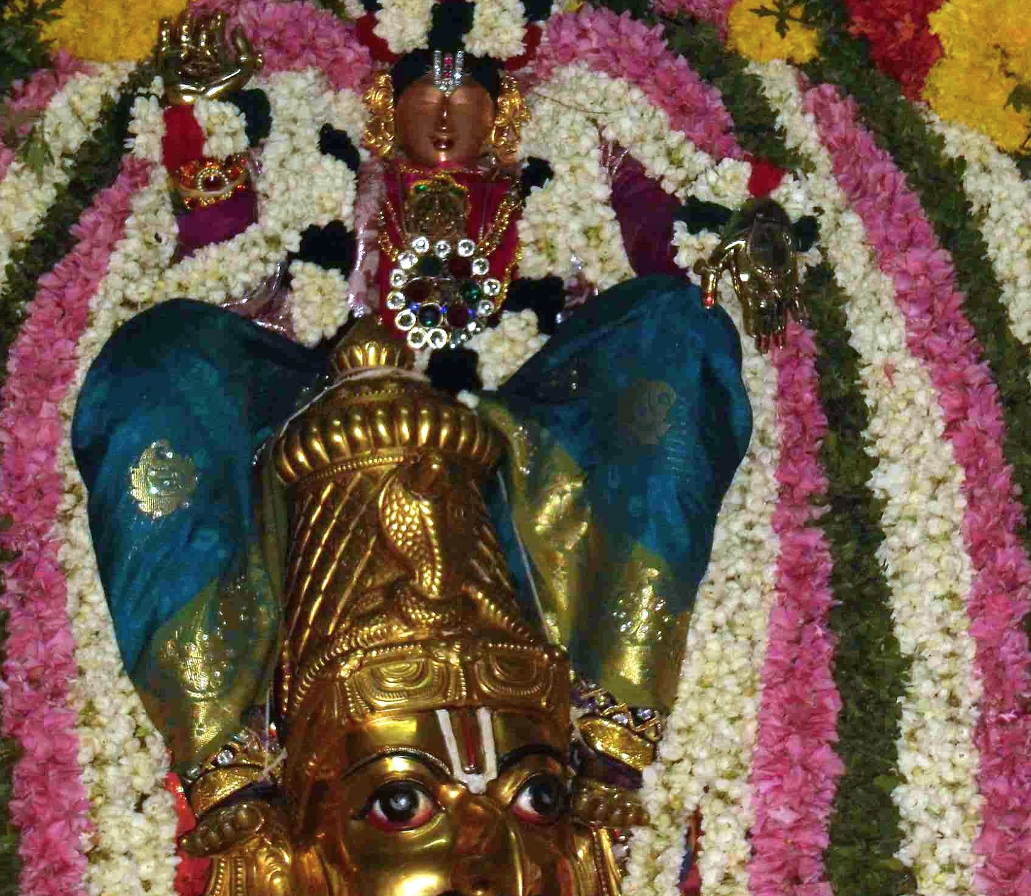 Thirukannamangai Bhakthavatsala Perumal Temple Brahmotsavam  Garuda Sevai