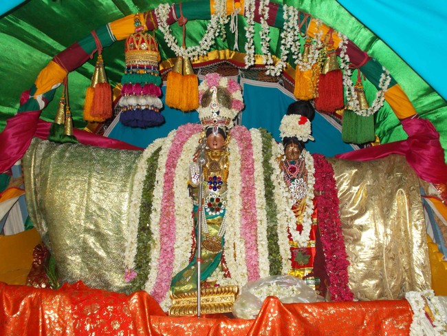 Thirukannamangai Bhakthavatsala Perumal Temple brahmotsavam Sesha vahanam 2014 -03