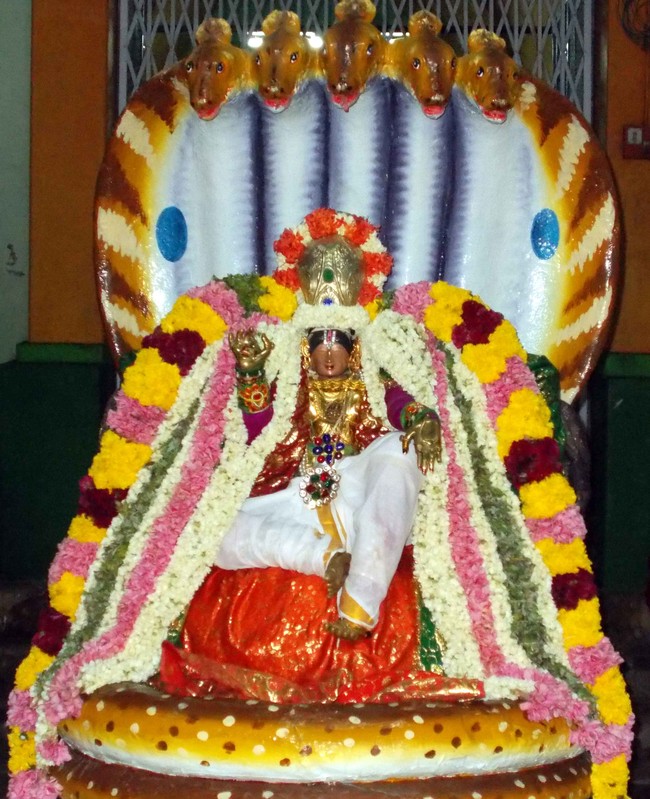 Thirukannamangai Bhakthavatsala Perumal Temple brahmotsavam Sesha vahanam 2014 -10