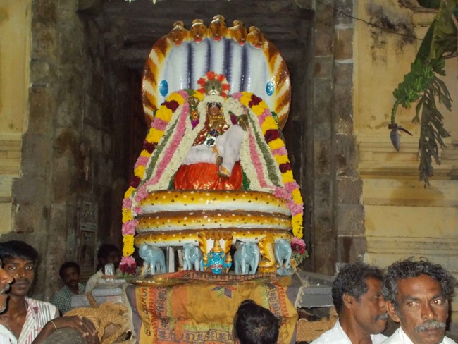 Thirukannamangai Bhakthavatsala Perumal Temple brahmotsavam Sesha vahanam 2014 -16