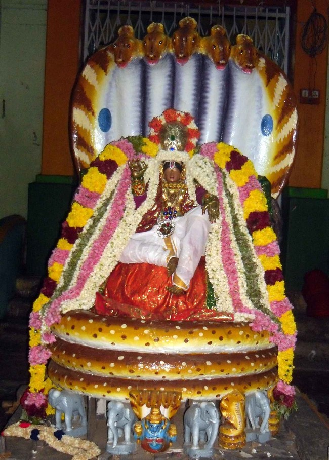 Thirukannamangai Bhakthavatsala Perumal Temple brahmotsavam Sesha vahanam 2014 -19
