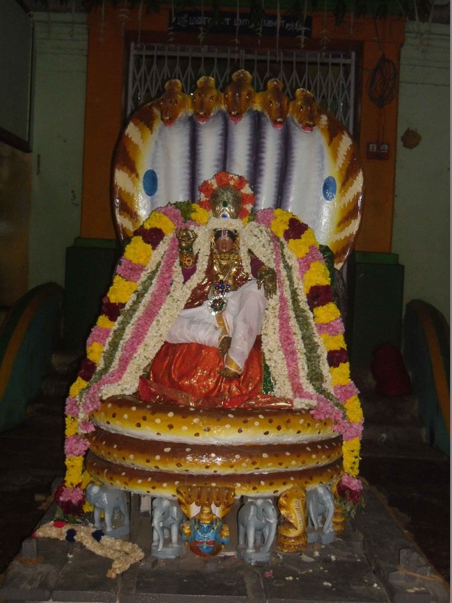 Thirukannamangai Bhakthavatsala Perumal Temple brahmotsavam Sesha vahanam 2014 -20