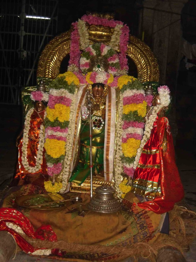 Thirukannamangai Chithirai Brahmotsavam THiruther & Theerthavari 2014--03