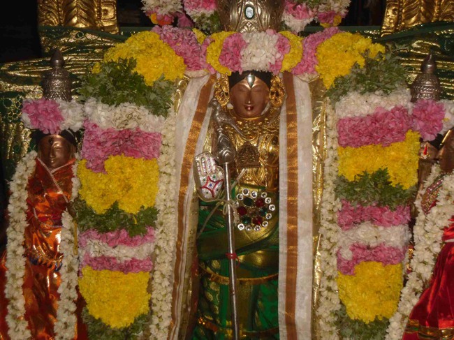 Thirukannamangai Chithirai Brahmotsavam THiruther & Theerthavari 2014--19