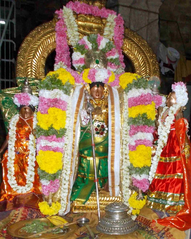 Thirukannamangai Chithirai Brahmotsavam THiruther & Theerthavari 2014--26