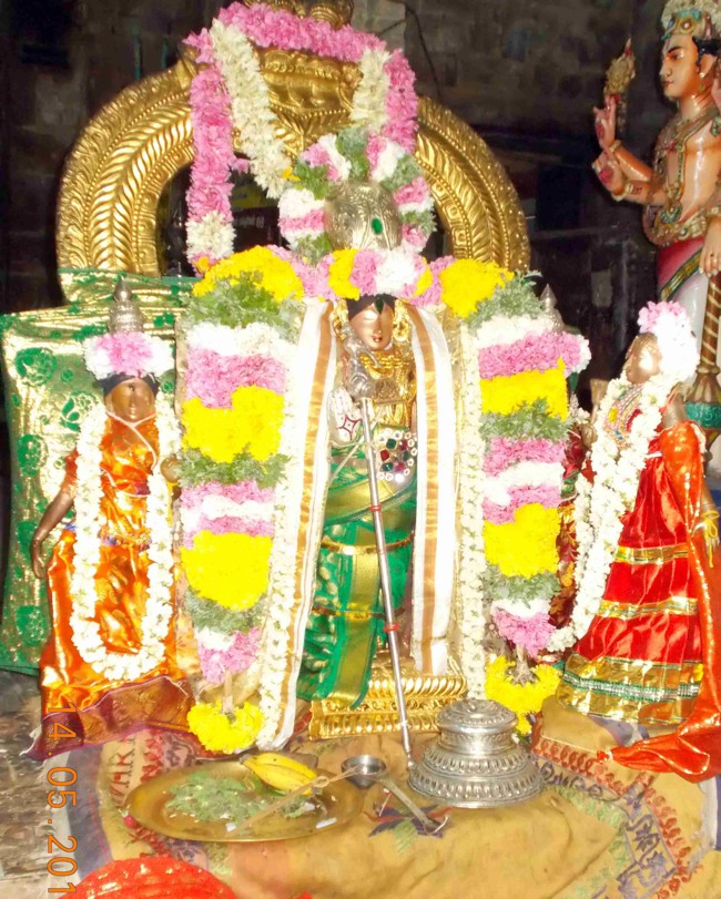 Thirukannamangai Chithirai Brahmotsavam THiruther & Theerthavari 2014--27