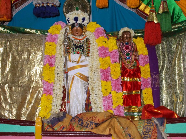 Thirukannamangai Chithirai Brahmotsavam Yanai Vahanam 2014 -05