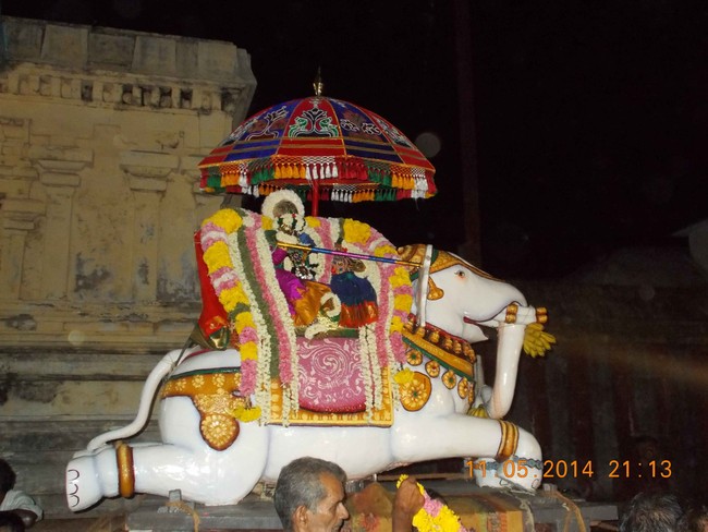 Thirukannamangai Chithirai Brahmotsavam Yanai Vahanam 2014 -11