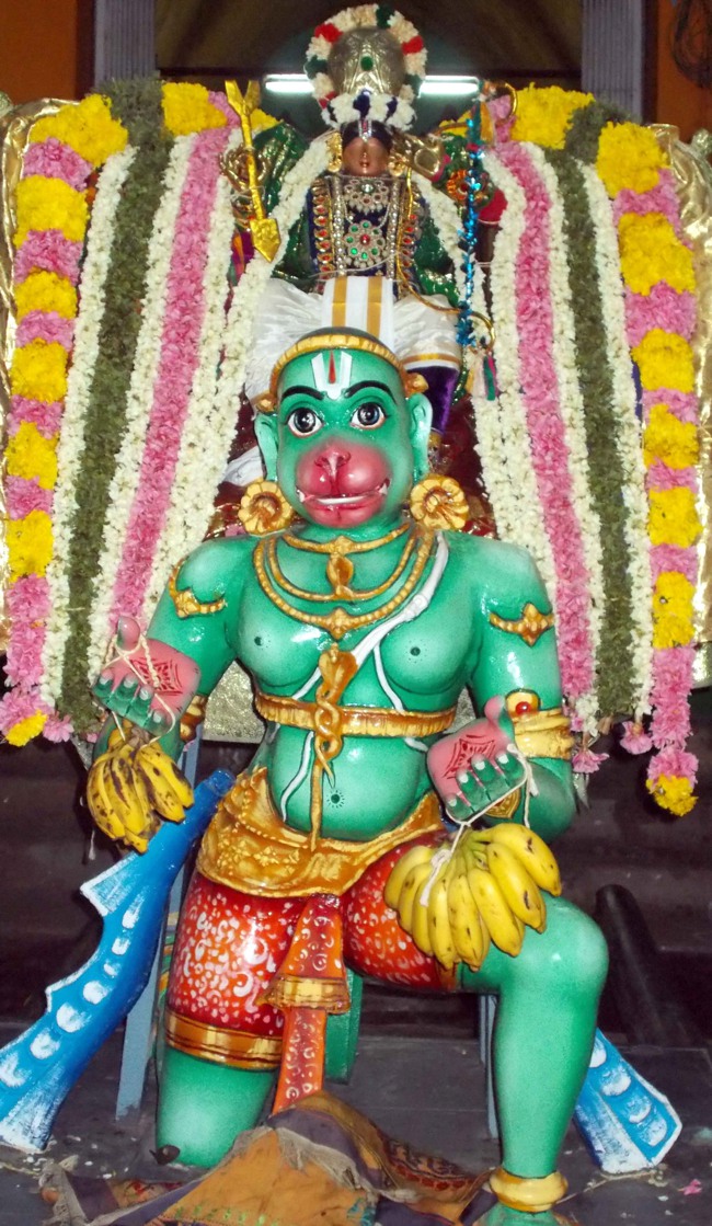 Thirukannamangai Sri Bhakthavatsala Perumal Hanumantha Vahanam 2014--0001