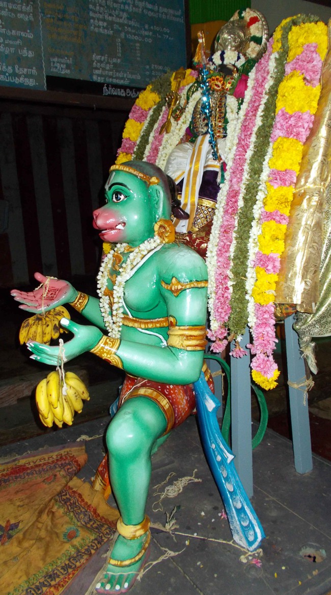 Thirukannamangai Sri Bhakthavatsala Perumal Hanumantha Vahanam 2014--0007