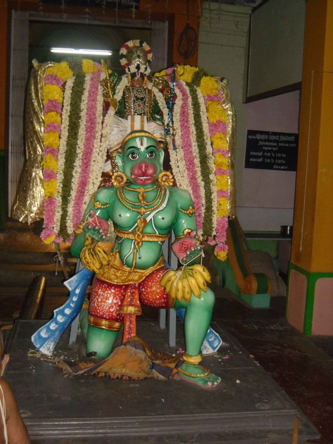 Thirukannamangai Sri Bhakthavatsala Perumal Hanumantha Vahanam 2014--0012