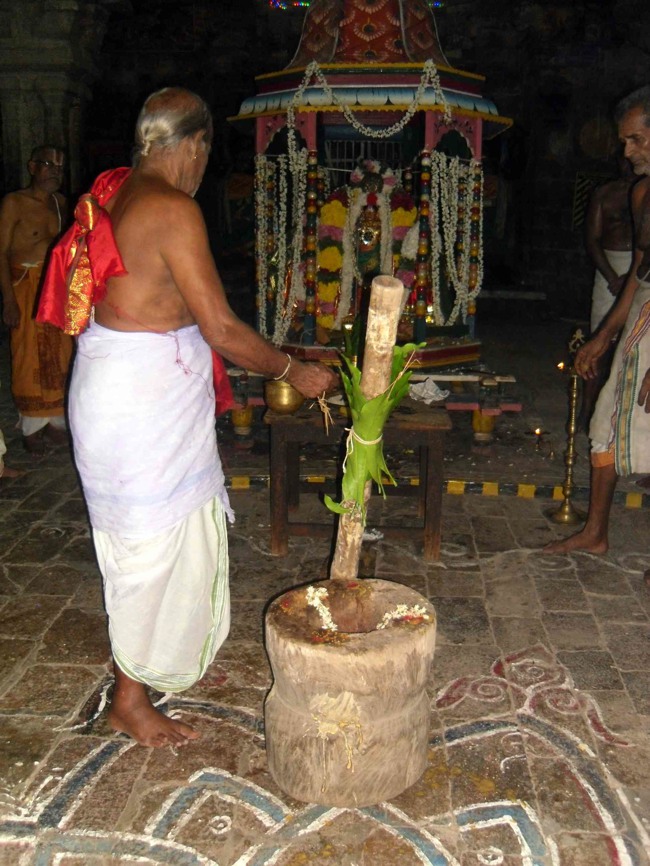 Thirukannamangai Sri Bhakthavatsala Perumal temple Day 7 Chithirai Brahmotsavam 2014--0026