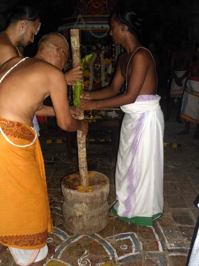 Thirukannamangai Sri Bhakthavatsala Perumal temple Day 7 Chithirai Brahmotsavam 2014--0027