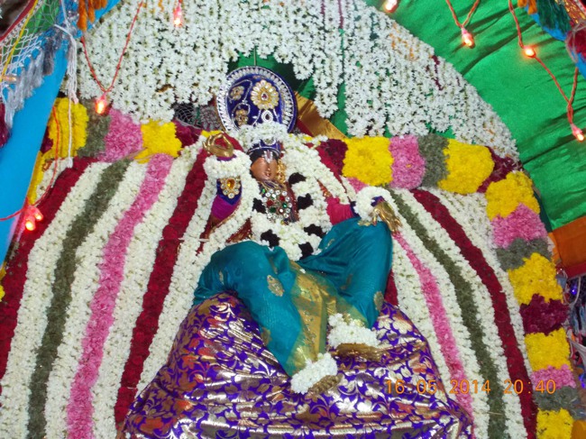 Thirukannamangai Sri Bhakthavatsala Utsavam Vidayatri Utsavam 2014--01