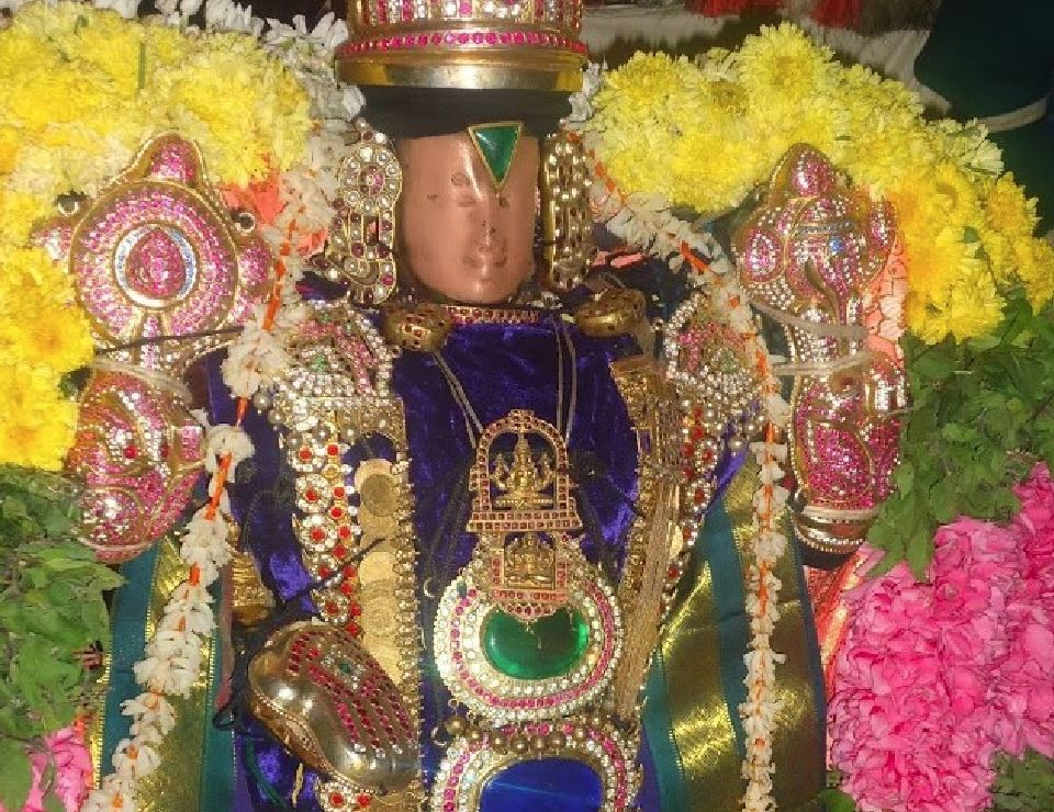 Thirukannapuram-Masi-Magam-Utsavam-2014-10
