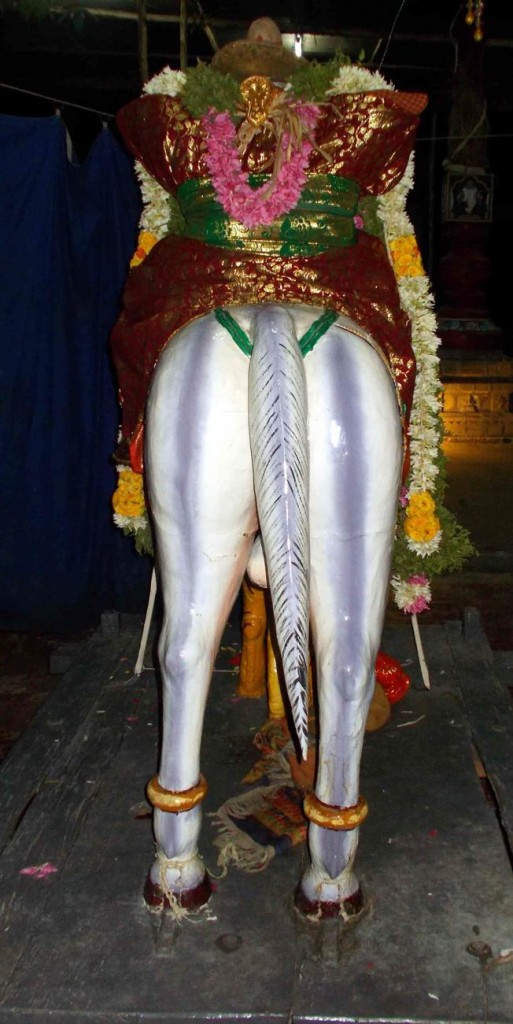 Thirukkannamangai_Chithrai_Brahmotsavam_33