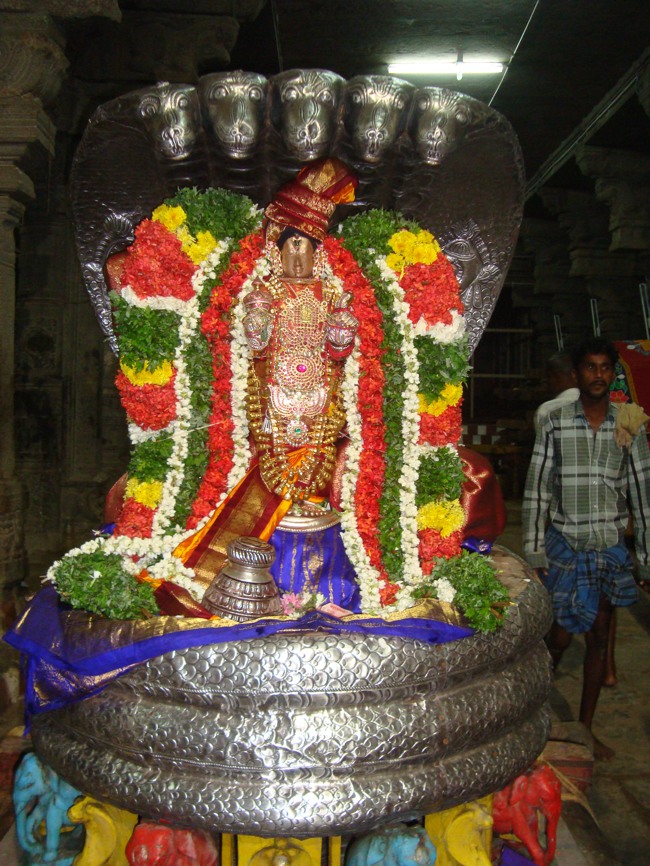 Thirukudanthai Sarangapani  Perumal Chithirai Brahmotsavam Sesha Vahanam 2014--00