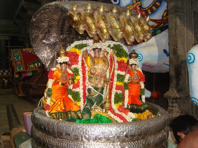 Thirukudanthai Sarangapani  Perumal Chithirai Brahmotsavam Sesha Vahanam 2014--01