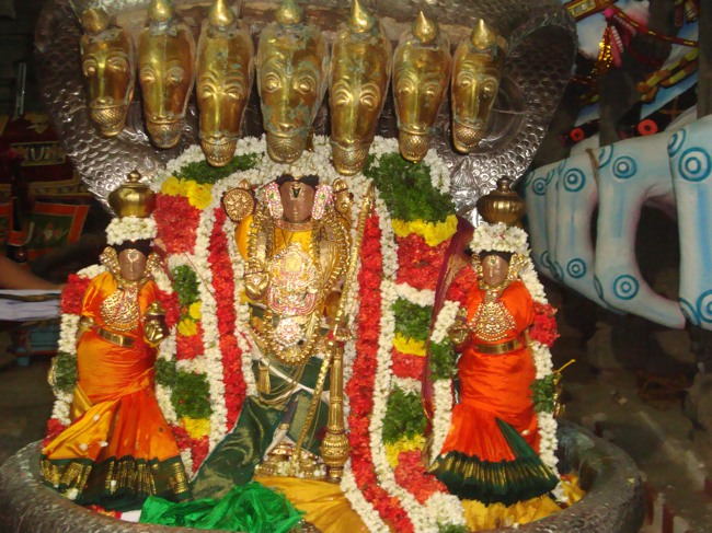 Thirukudanthai Sarangapani  Perumal Chithirai Brahmotsavam Sesha Vahanam 2014--05
