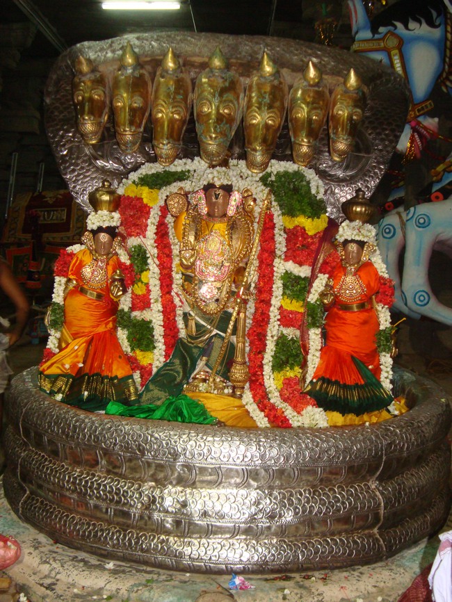 Thirukudanthai Sarangapani  Perumal Chithirai Brahmotsavam Sesha Vahanam 2014--07