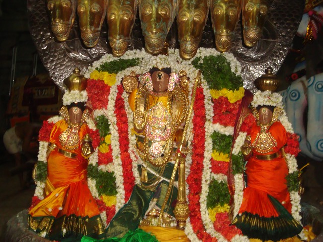 Thirukudanthai Sarangapani  Perumal Chithirai Brahmotsavam Sesha Vahanam 2014--08