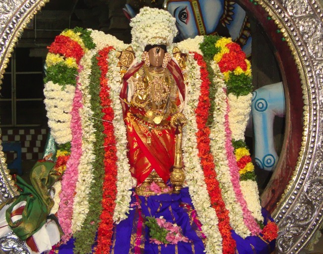 Thirukudanthai Sarangapani  Perumal Chithirai Brahmotsavam Velli Surya Prabhai 2014--01