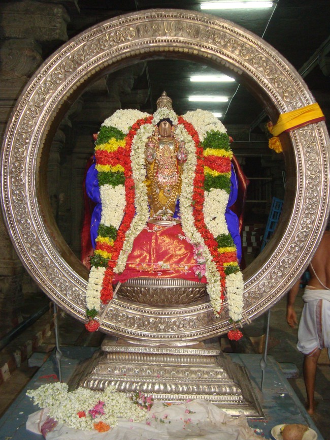 Thirukudanthai Sarangapani  Perumal Chithirai Brahmotsavam Velli Surya Prabhai 2014--05