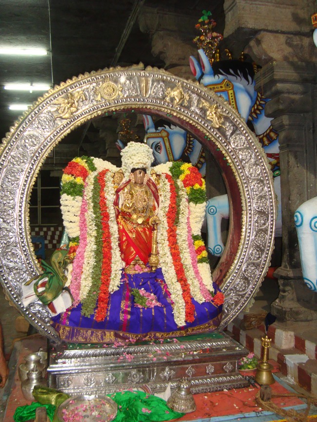 Thirukudanthai Sarangapani  Perumal Chithirai Brahmotsavam Velli Surya Prabhai 2014--06