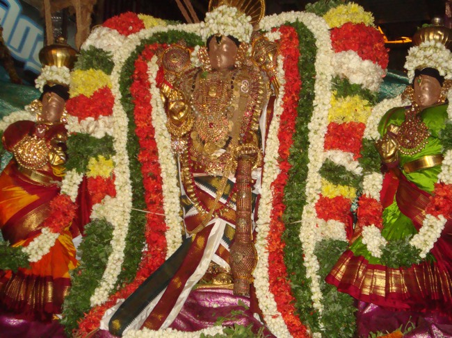 Thirukudanthai Sarangapani  Perumal Chithirai Brahmotsavam indra Vimanam 2014--02