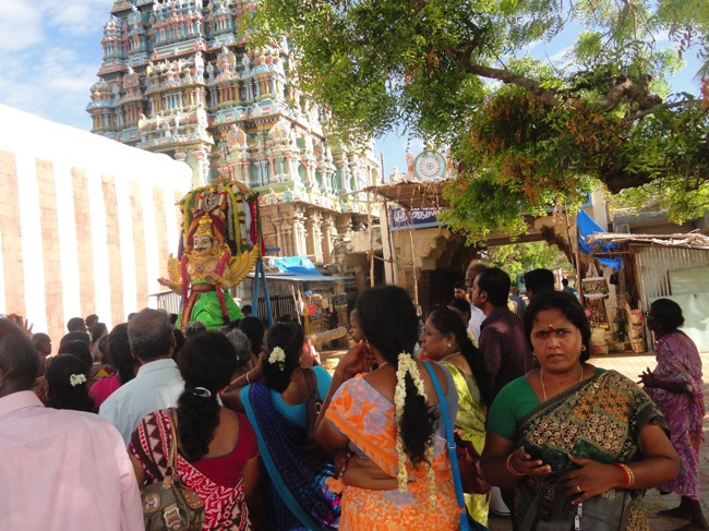 Thirupullani Akshaya Truthiyai Garuda Sevai 2014--08