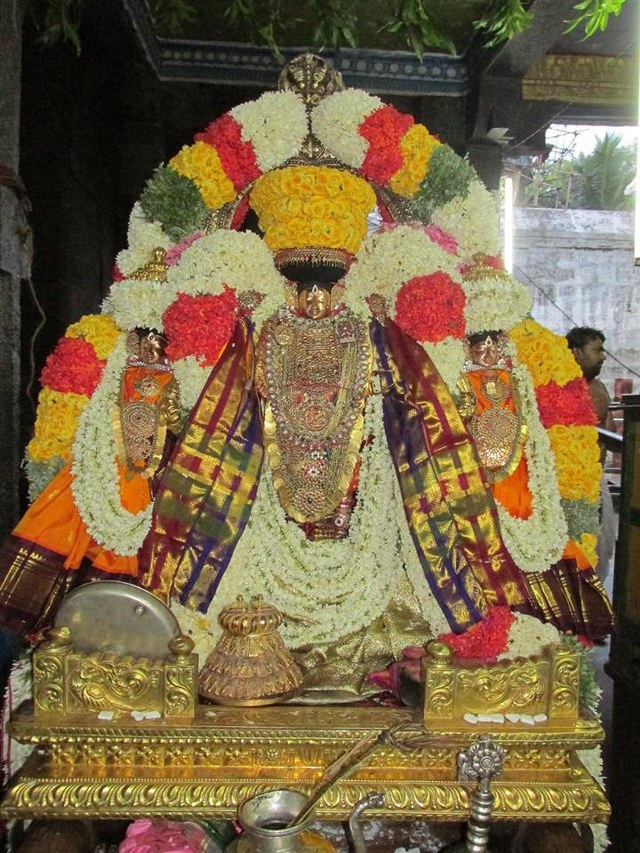Thiruvahindrapuram Chithirai Brahmotsavam Angurarapanam 2014 -08