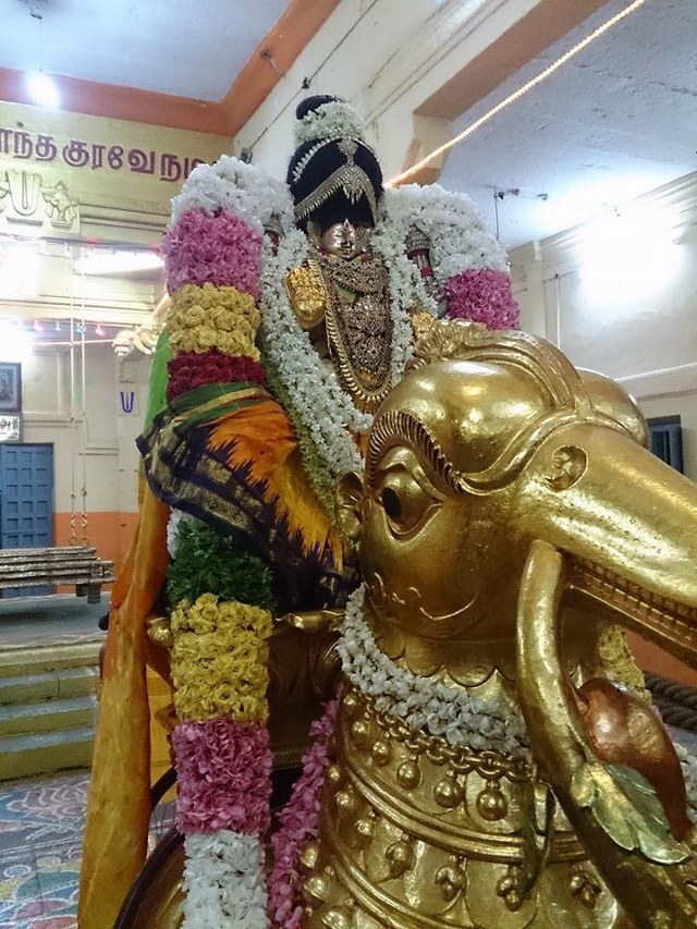 Thiruvahindrapuram Chithirai Brahmotsavam Day 1 2014 -5